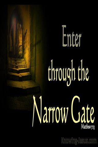 Matthew 7:13 Wide Is The Gate To Destruction (black)